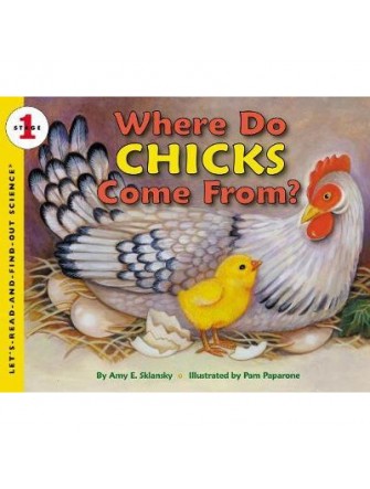 Where Do Chickens Come From?
