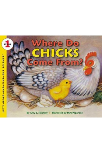 Where Do Chickens Come From?