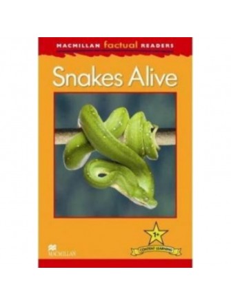 Macmillan Factual Readers 1+: Snakes Alive