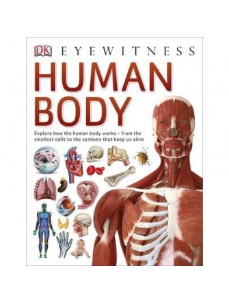 Eyewitness Human Body
