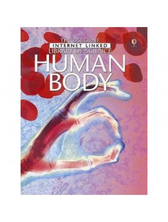 Human body