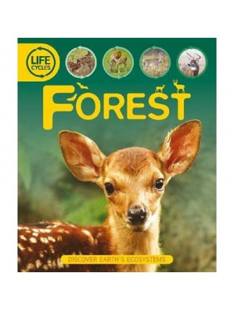 Life Cycles: Forest
