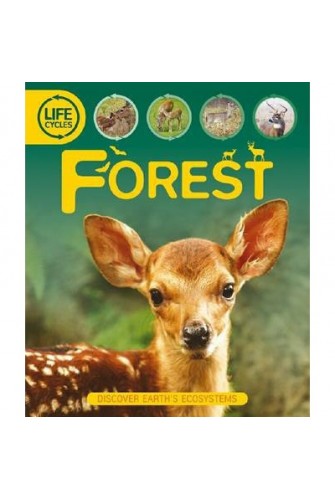 Life Cycles: Forest