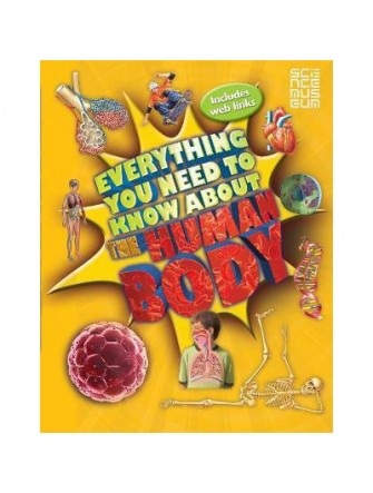 Everything You Need To Know About the Human Body