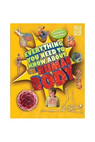 Everything You Need To Know About the Human Body