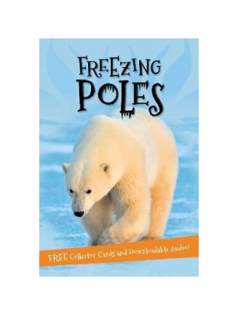 It's all about... Freezing Poles