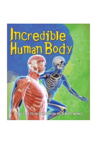 Fast Facts! Incredible Human Body