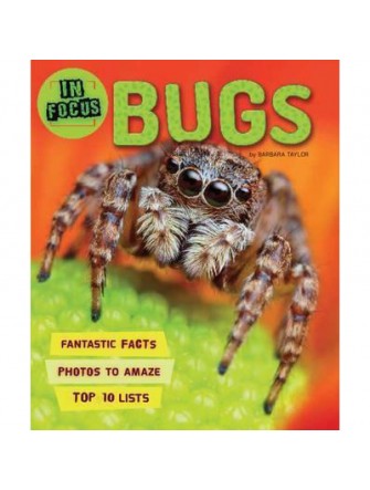 In Focus: Bugs