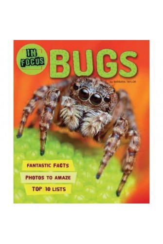 In Focus: Bugs