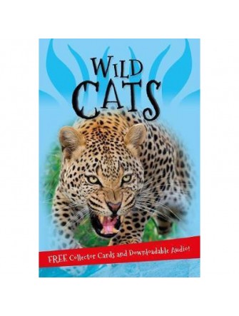 It's All About... Wild Cats