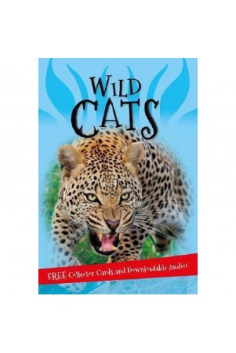 It's All About... Wild Cats