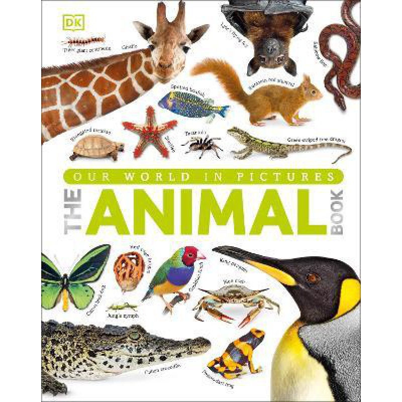The Animal Book 