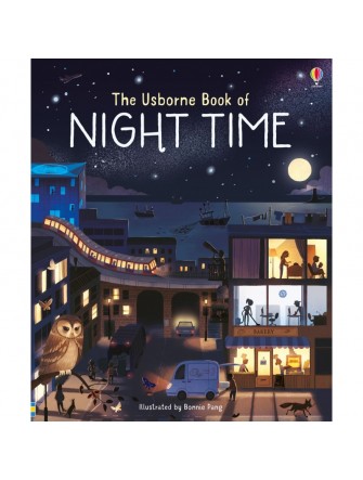 The Usborne Book of Night Time
