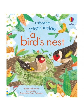 Peep Inside a bird's nest