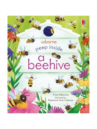 Peep Inside a beehive