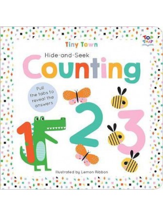 Hide-and-Seek Counting (IT)