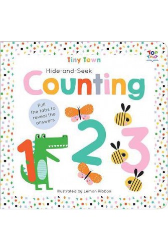 Hide-and-Seek Counting (IT)